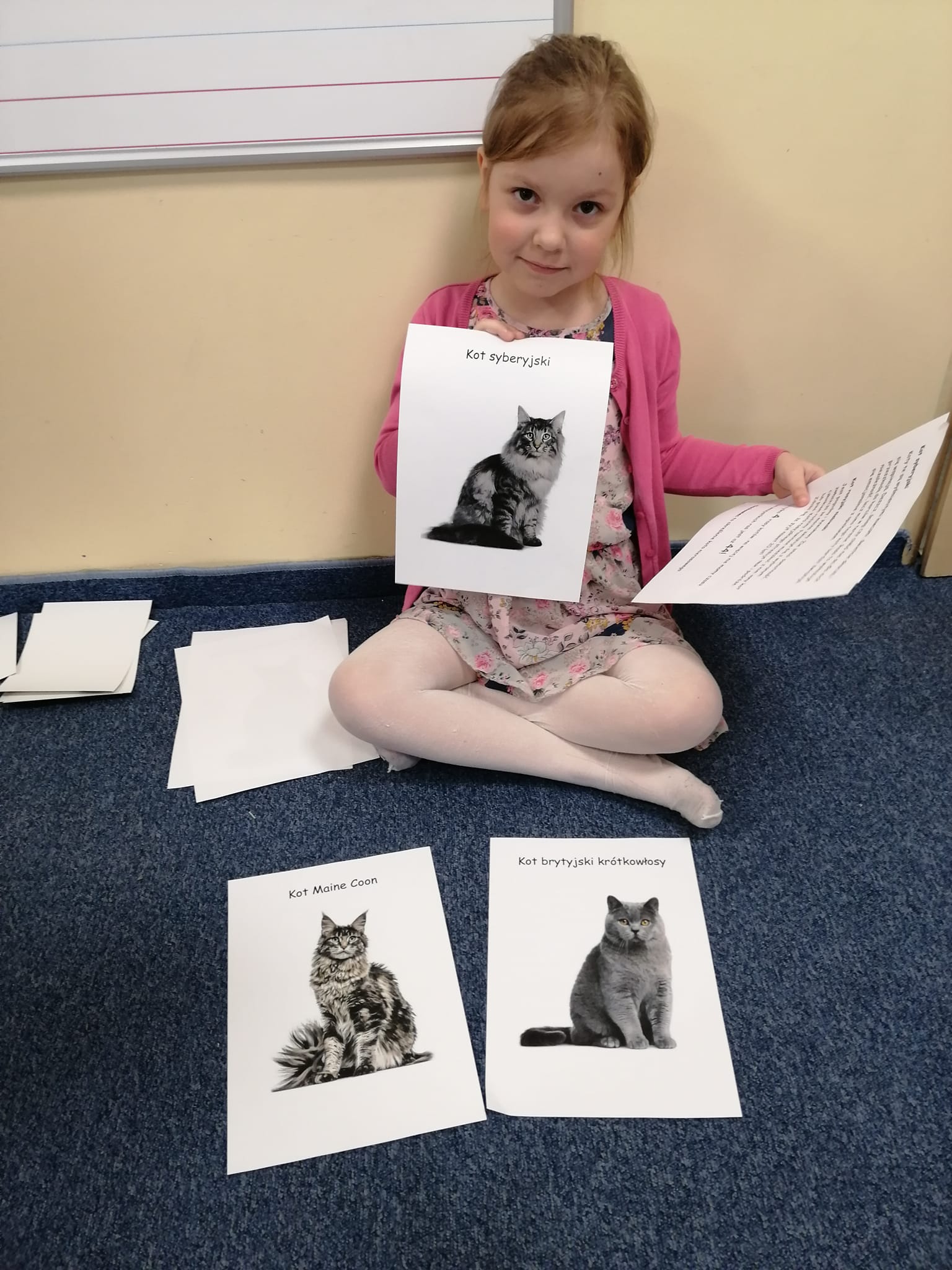 Zajęcia o kotach prowadzone przez Zosie