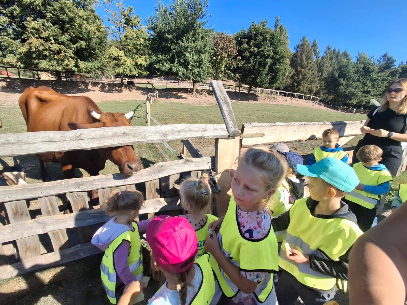 Wycieczka do mini zoo w Rudnie - Lokomotywa w Krzeszowicach