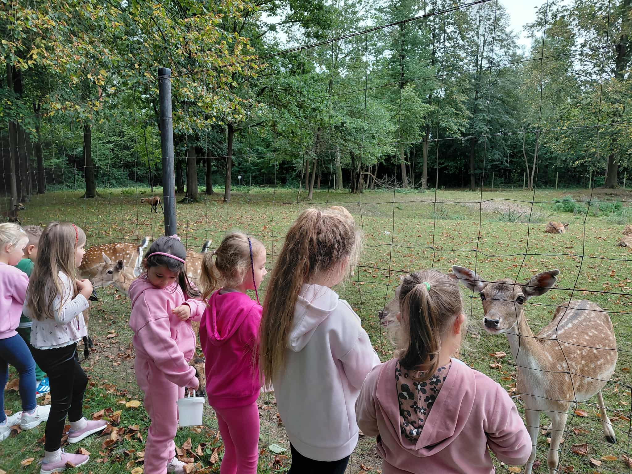 Wycieczka do gospodarstwa Owieczka - Lokomotywa w Nowym Sączu