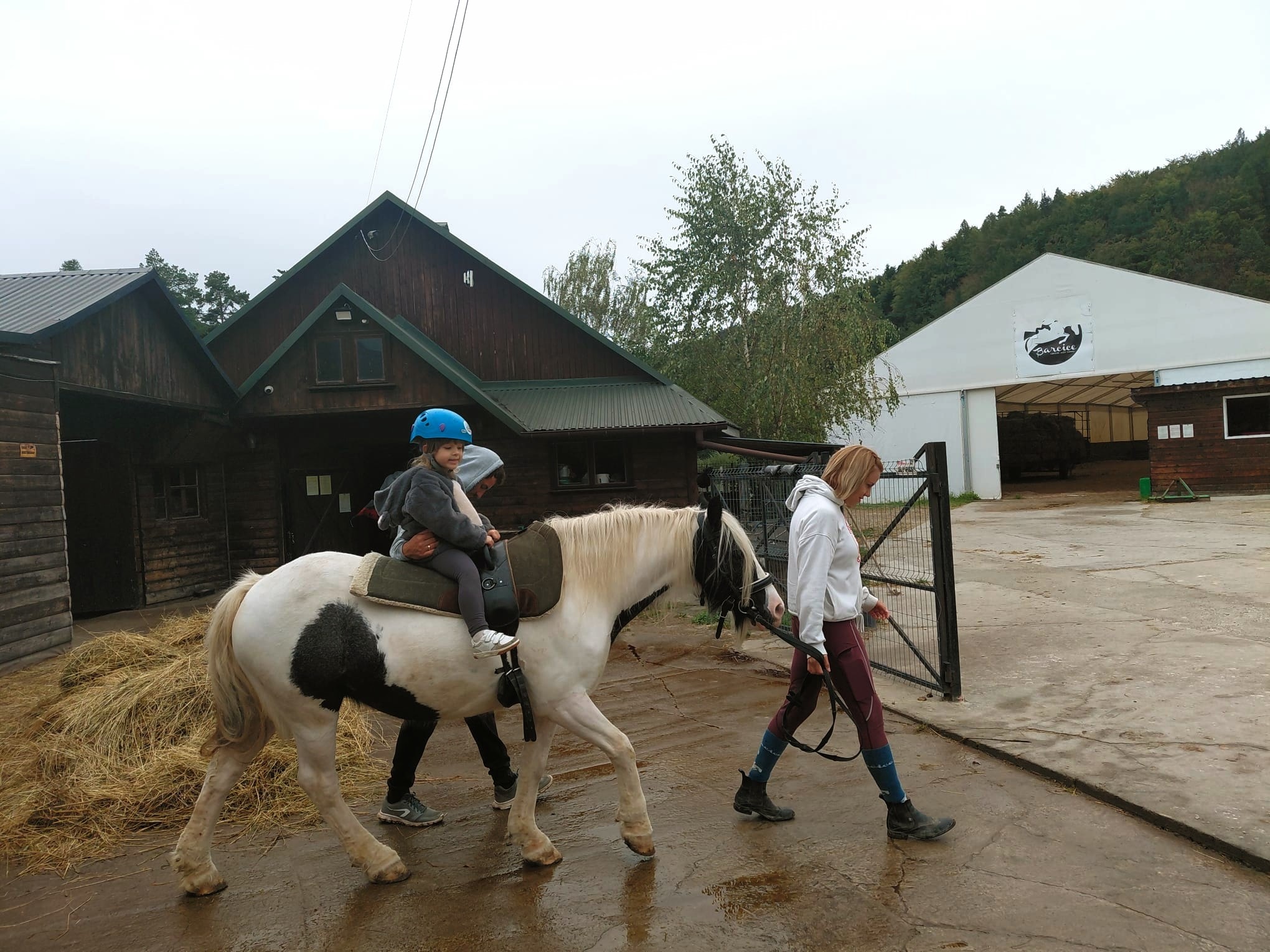 Hipoterapia w Osadzie w Odnozynie - Lokomotywa w Nowym Sączu